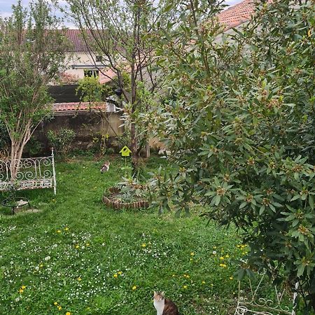 Villa Pierre Condom Esterno foto